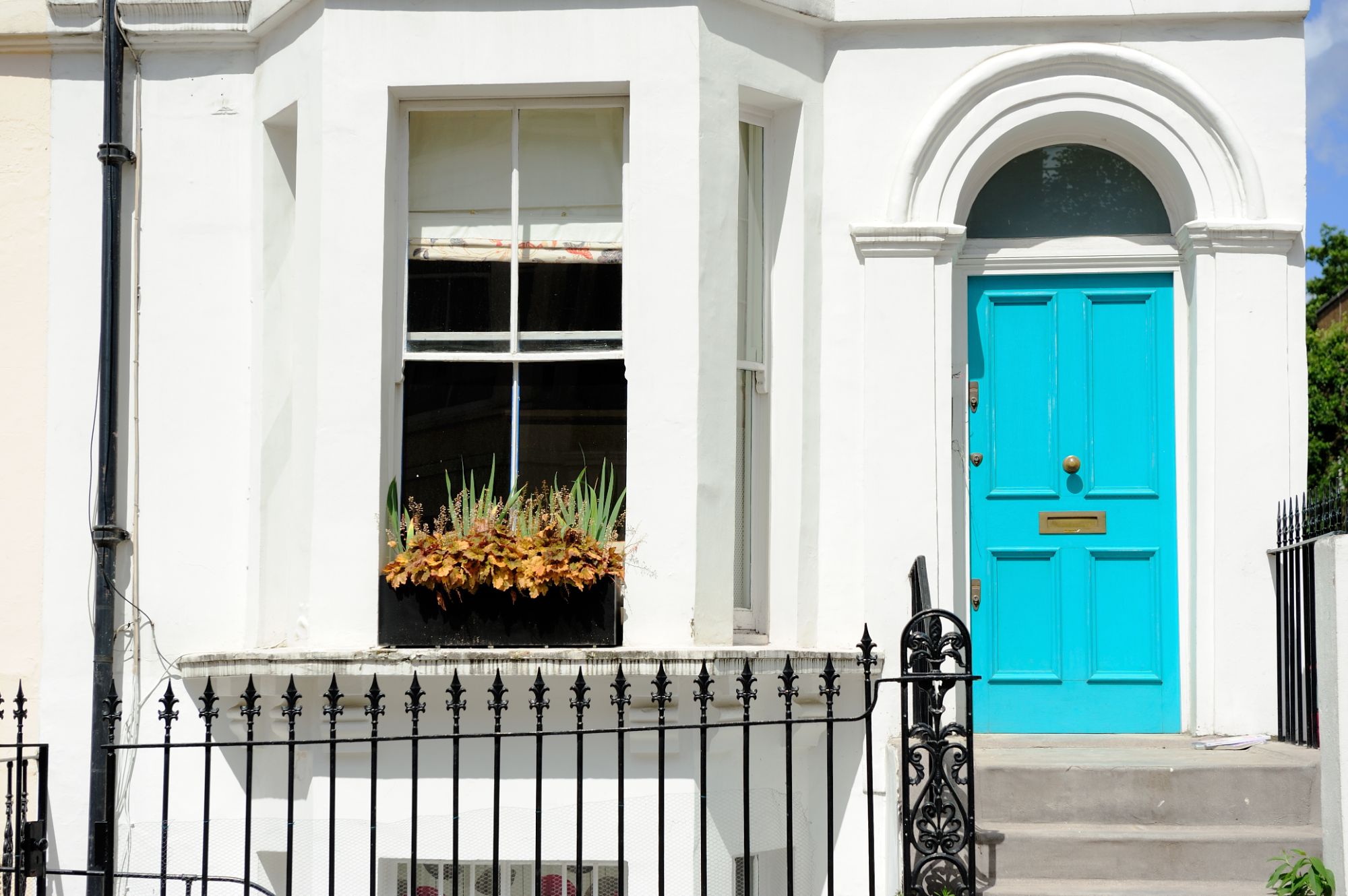 rendering-epsom